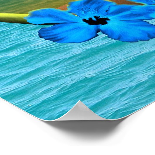 Zonneplaat en surfplanken poster (Hoek)