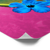 Zonneplaat en surfplanken poster (Hoek)