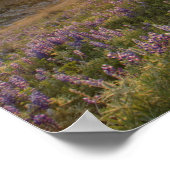 Zonneplaat over de Bitterroot Mountains en de grot Poster (Hoek)