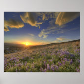 Zonneplaat over de Bitterroot Mountains en de grot Poster (Voorkant)