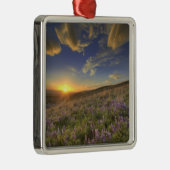 Zonneplaat over de Bitterroot Mountains en de uitg Metalen Ornament (Rechts)