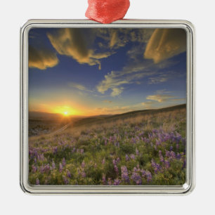Zonneplaat over de Bitterroot Mountains en de uitg Metalen Ornament