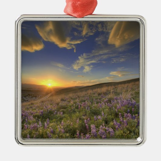 Zonneplaat over de Bitterroot Mountains en de uitg Metalen Ornament (Voorkant)