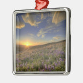 Zonneplaat over de Bitterroot Mountains en de uitg Metalen Ornament (Links)