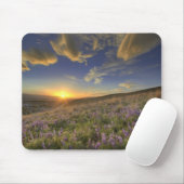 Zonneplaat over de Bitterroot Mountains en de uitg Muismat (Met muis)