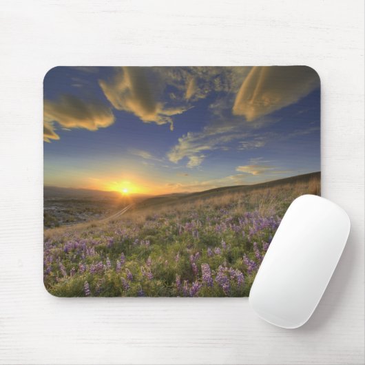 Zonneplaat over de Bitterroot Mountains en de uitg Muismat (Met muis)