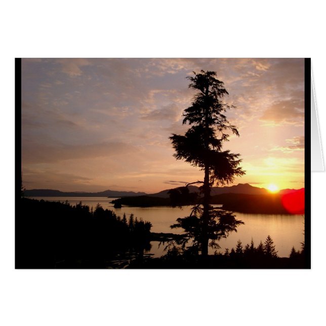 Zonneplanten- en cedarbomen (Voorkant Horizontaal)