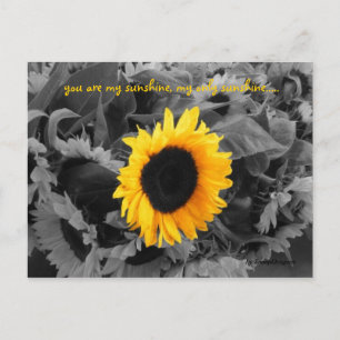 Zonnepostkaart Briefkaart