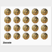 Zonneppaard Ronde Sticker (Vel)