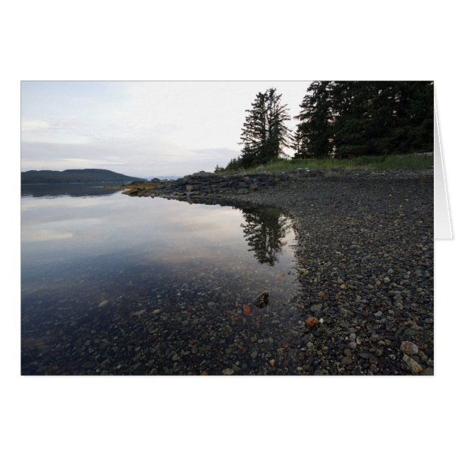 zonnereflectie (Voorkant Horizontaal)