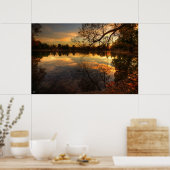 Zonnereflecties Poster (Keuken)