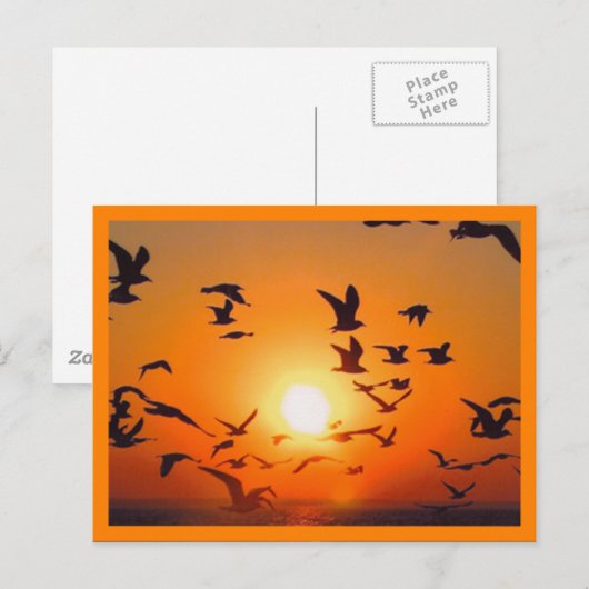 ZonneScene Oranje grens Briefkaart (Voorkant / Achterkant)