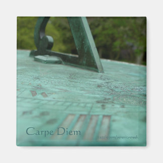 Zonneschaalmagneet Magneet