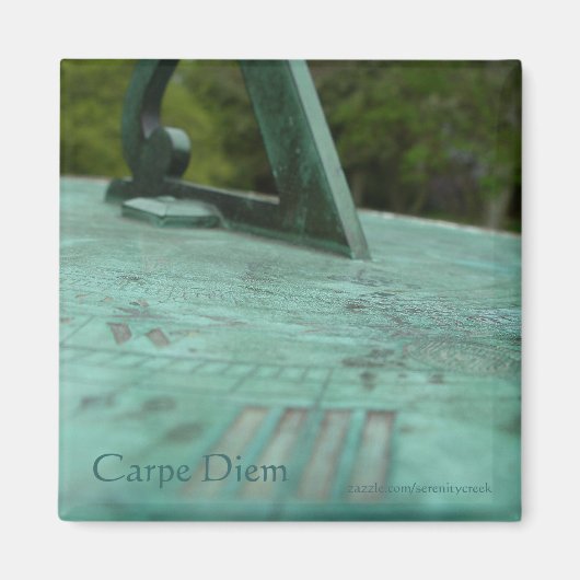 Zonneschaalmagneet Magneet (Voorkant)