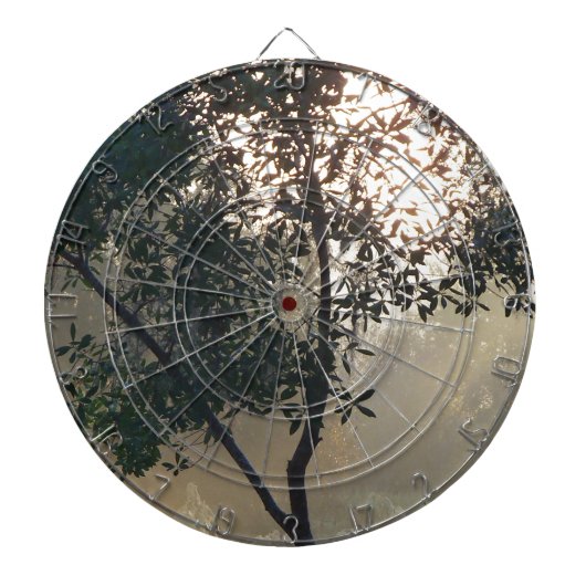zonnescherm dartbord (Voorkant)