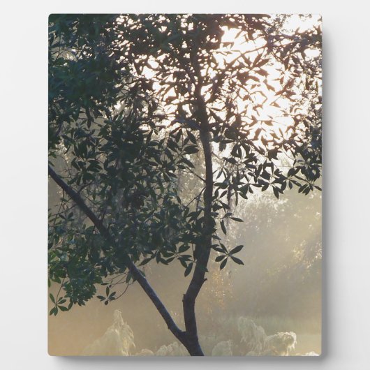 zonnescherm fotoplaat (Voorkant)