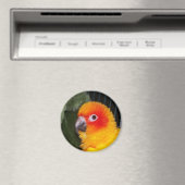 zonnescherm magneet (Insitu (Vaatwasser))