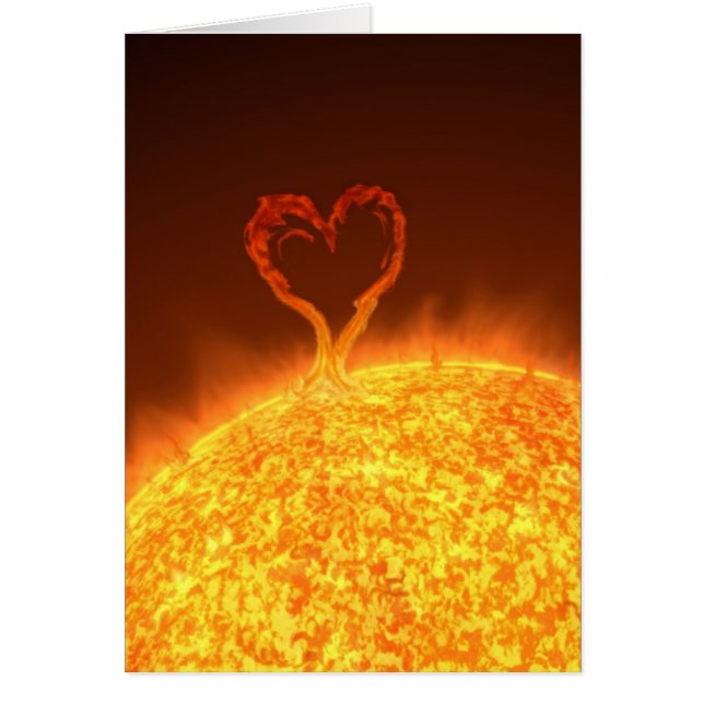 Zonneschijn (Voorkant)