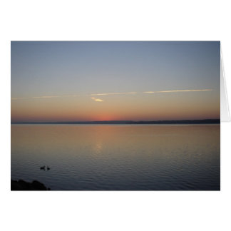 Zonneschijn