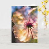 Zonneschijn bloem voor verjaardag kaart (Gele Bloem)