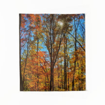 Zonneschijn door Herfst Herfst Bos