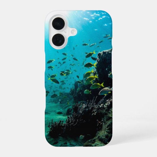 Zonneschijn en Tropische Vissen iPhone 16 Hoesje (Achterkant)