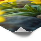 Zonneschijn geel pluizige kip blauw - eyed bird poster (Hoek)