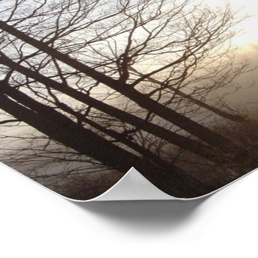 zonneschijn in de ochtend poster (Hoek)