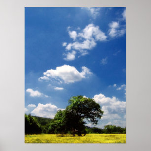 Zonneschijn Poster