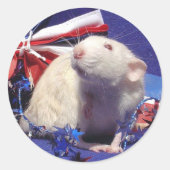 zonneschijn ronde sticker (Voorkant)