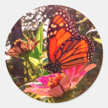 Zonneschilderingen van Monarch