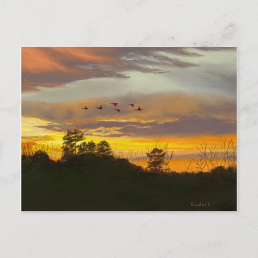 Zonneset met Gese Flying JW Briefkaart (Voorkant)