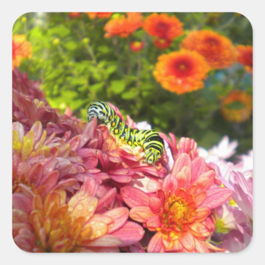 Zonnespotters voor de derde pijler vierkante sticker (Voorkant)