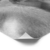 Zonnestaartmakaken - Fotoprint Foto Afdruk (Hoek)