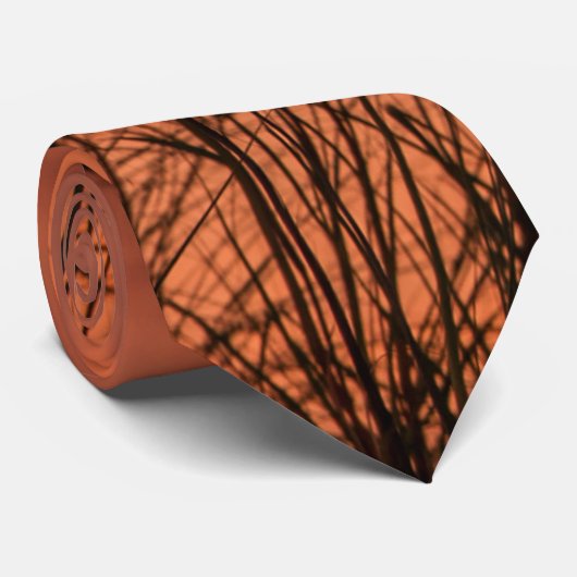 Zonnesten door de zee haver stropdas (Opgerold)