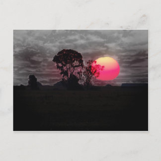 Zonnesten met bomen briefkaart