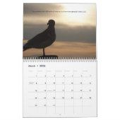 Zonnestijging, Zonnetijd, Schrift elk jaar Kalender (Mar 2026)