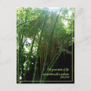 zonnestraal briefkaart