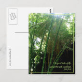 zonnestraal briefkaart (Voorkant / Achterkant)