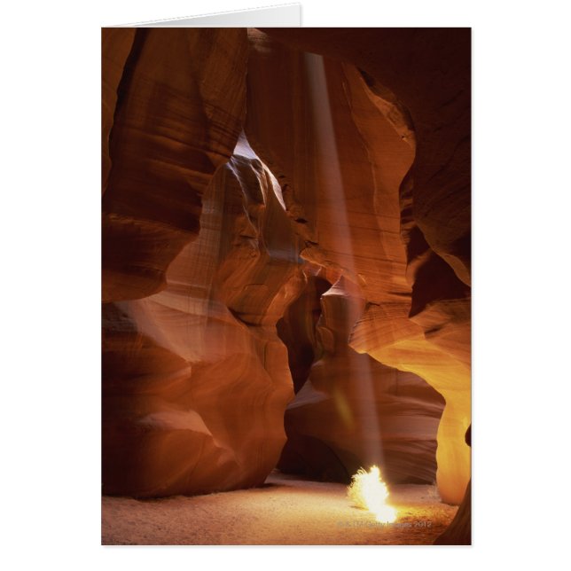 Zonnestraal die op de vloer van de canyon tumblewe (Voorkant)