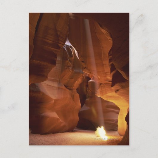 Zonnestraal die op de vloer van de canyon tumblewe briefkaart (Voorkant)