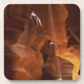 Zonnestraal die op de vloer van de canyon tumblewe onderzetter (Voorkant)