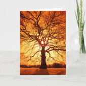 Zonnestraal Kaart (Voorkant)