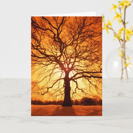 Zonnestraal Kaart (Gele Bloem)