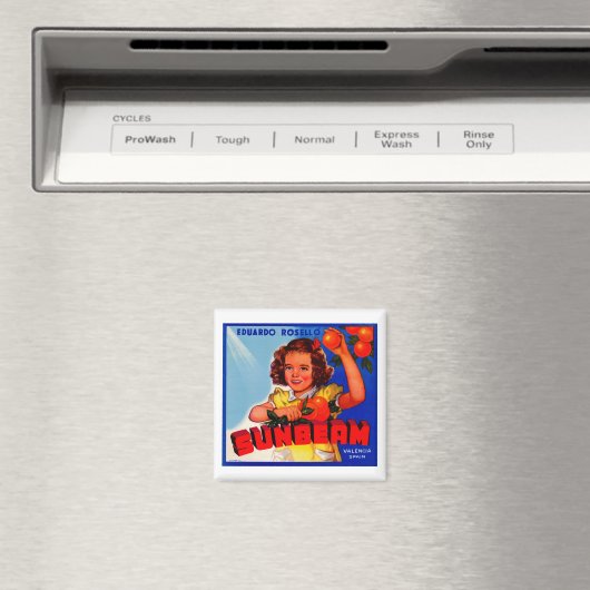 zonnestraal magneet (Insitu (Vaatwasser))