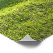 zonnestraal poster (Hoek)