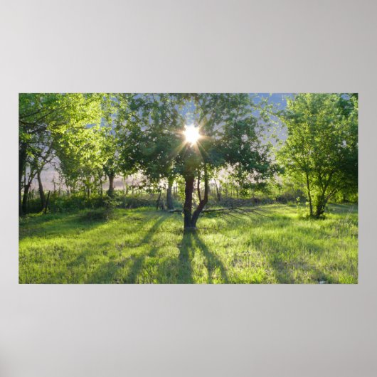 zonnestraal poster (Voorkant)