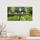 zonnestraal poster (Keuken)