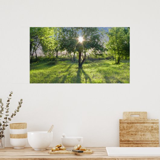 zonnestraal poster (Keuken)