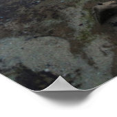 Zonnestraal uit de getijdepools poster (Hoek)